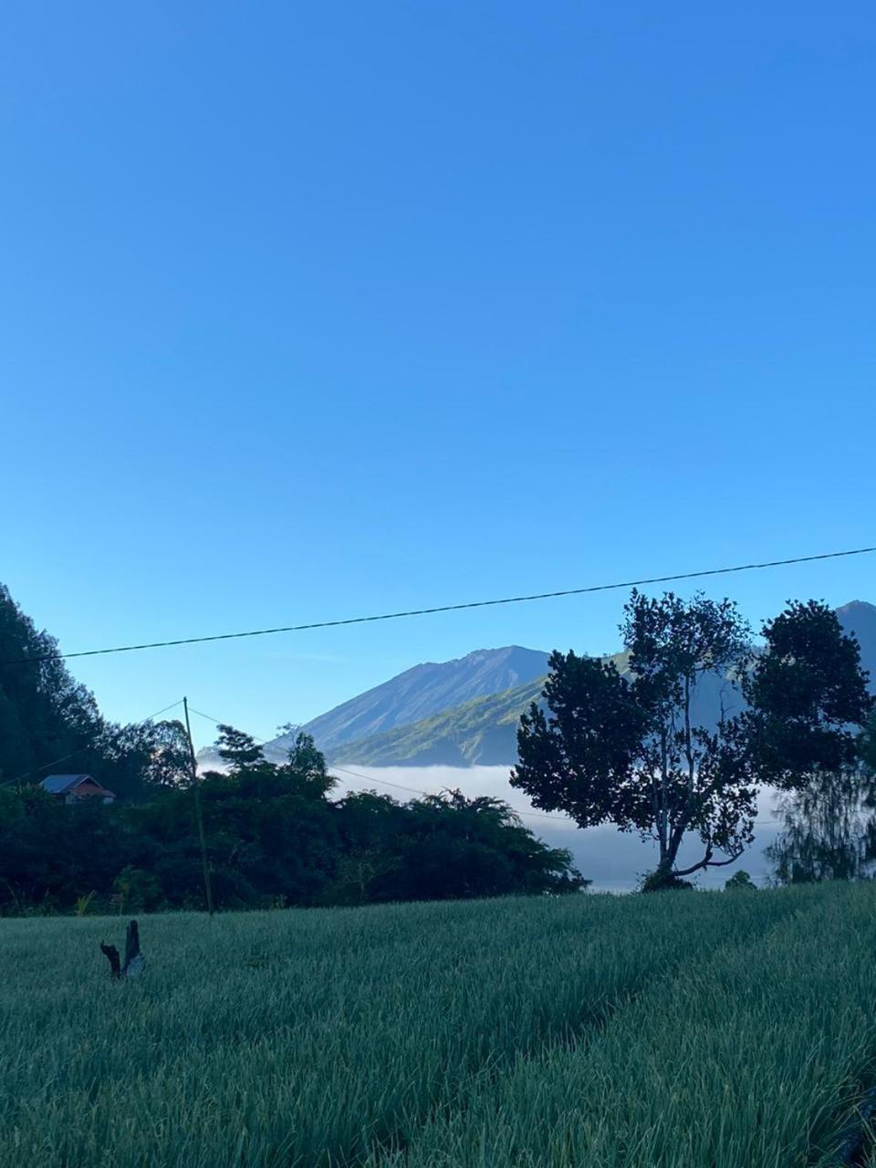 Pondok Bali Volcano 库布盼洛坎 外观 照片
